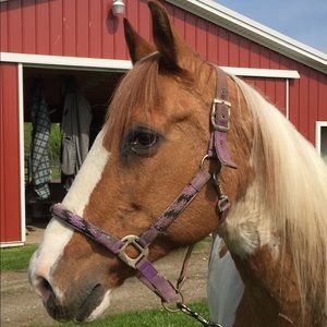 Meet your Posher, Carla